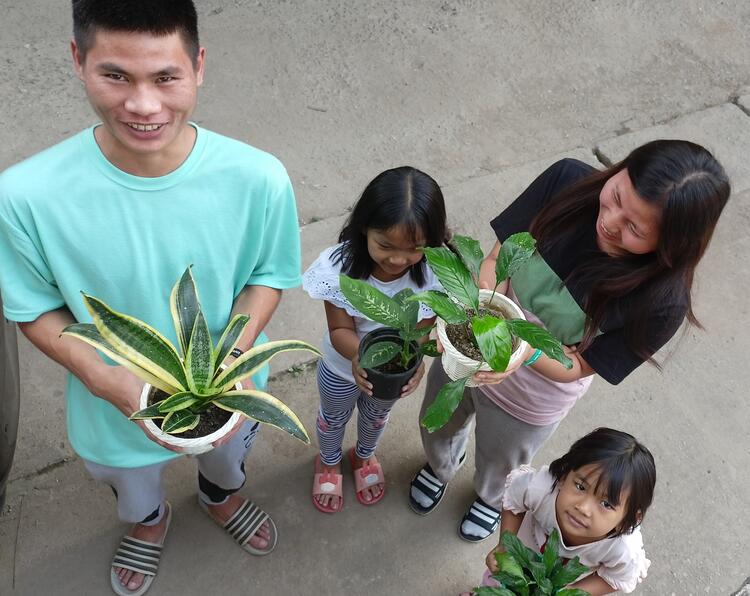 Love green Love green